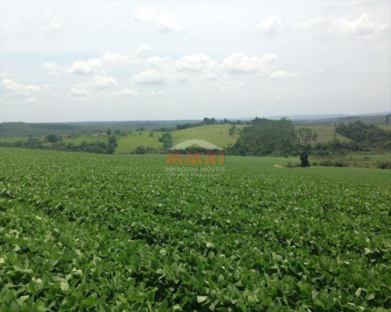 Fazenda à venda com 4 quartos, 150m² - Foto 13