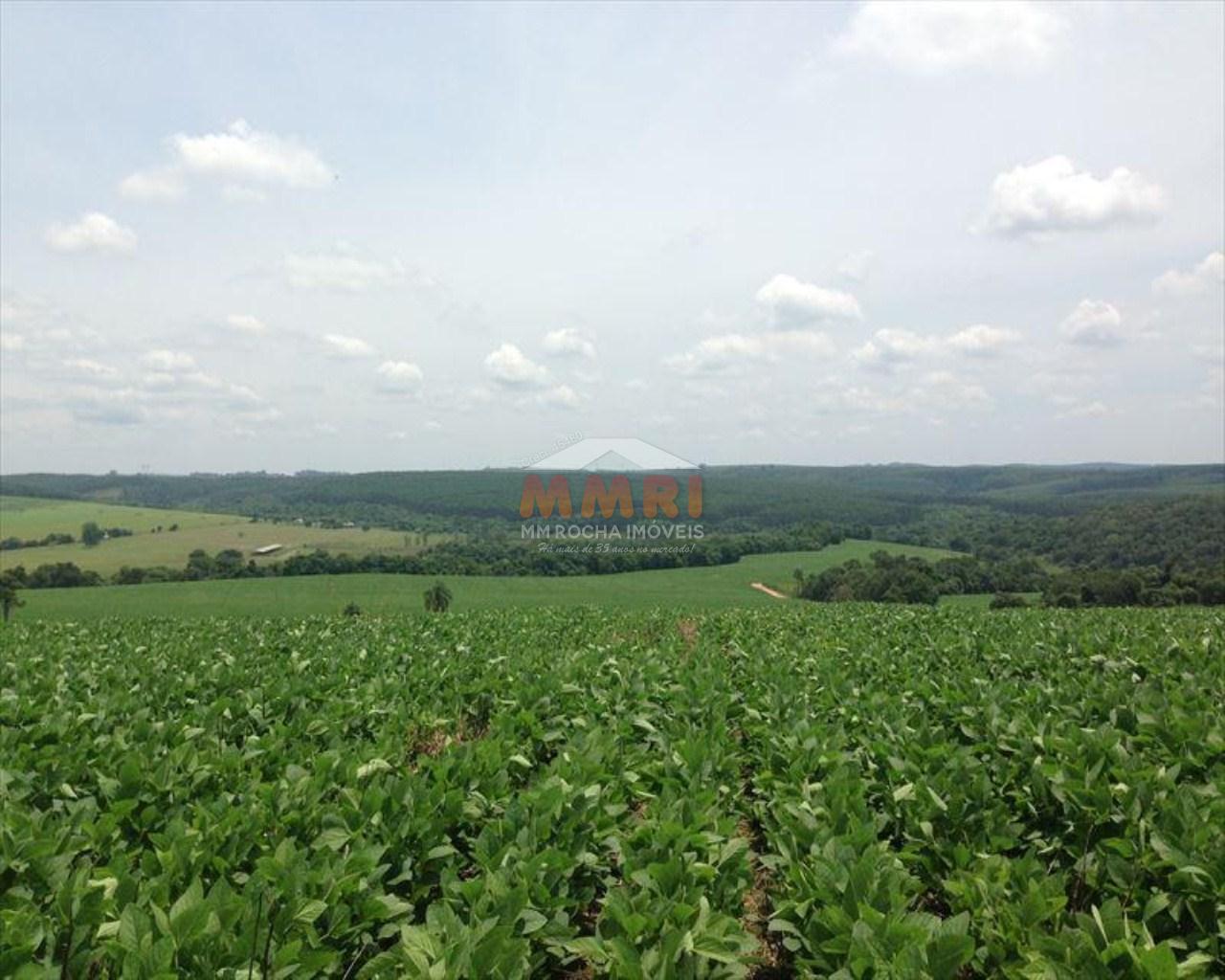 Fazenda à venda com 4 quartos, 150m² - Foto 14