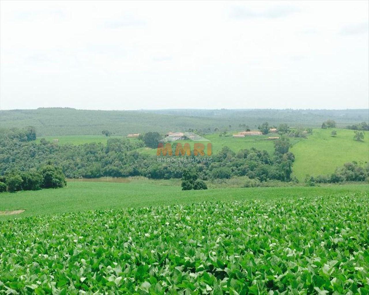 Fazenda à venda com 4 quartos, 150m² - Foto 15