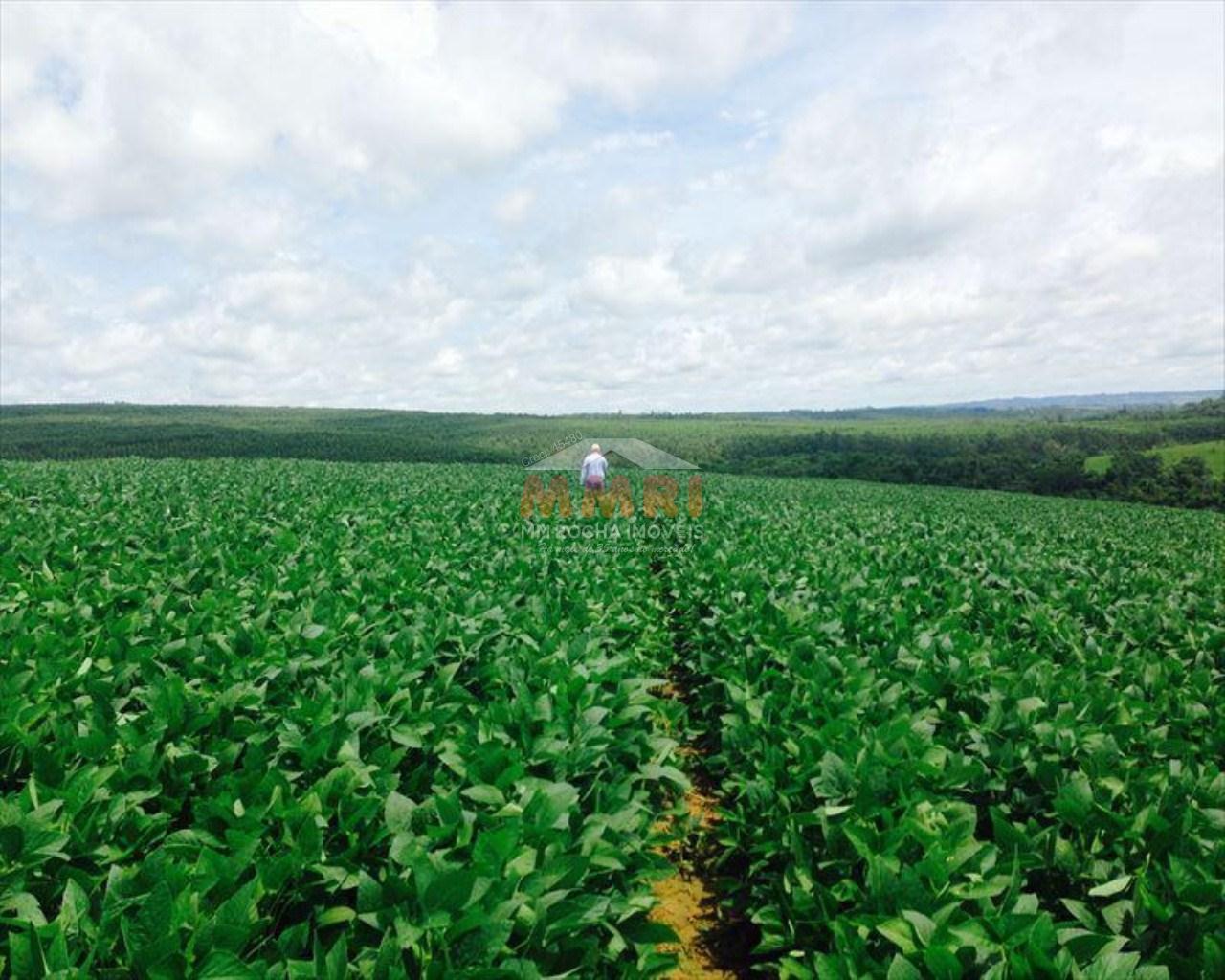 Fazenda à venda com 4 quartos, 150m² - Foto 19