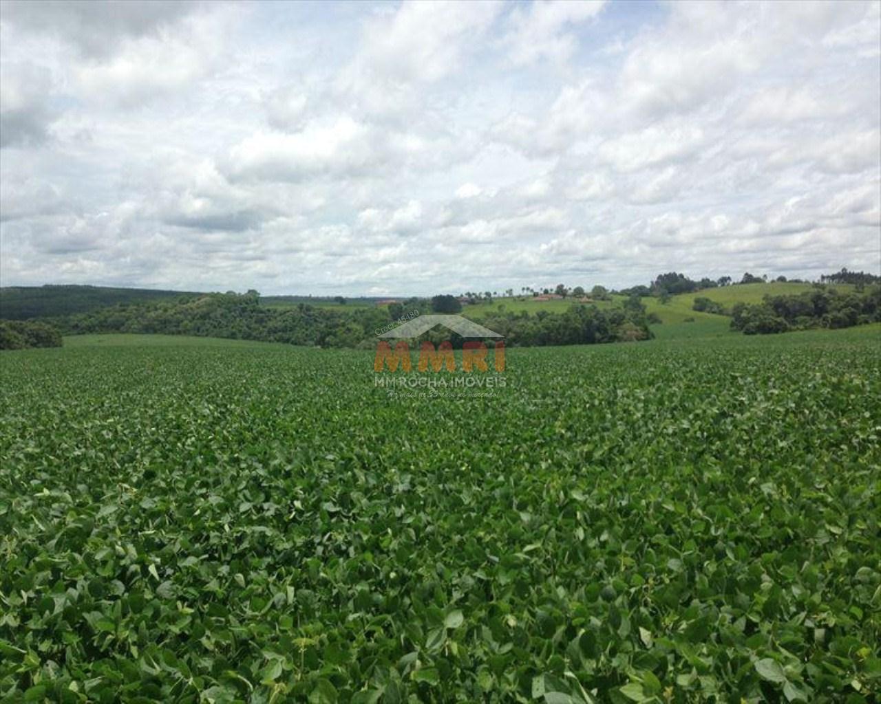 Fazenda à venda com 4 quartos, 150m² - Foto 21