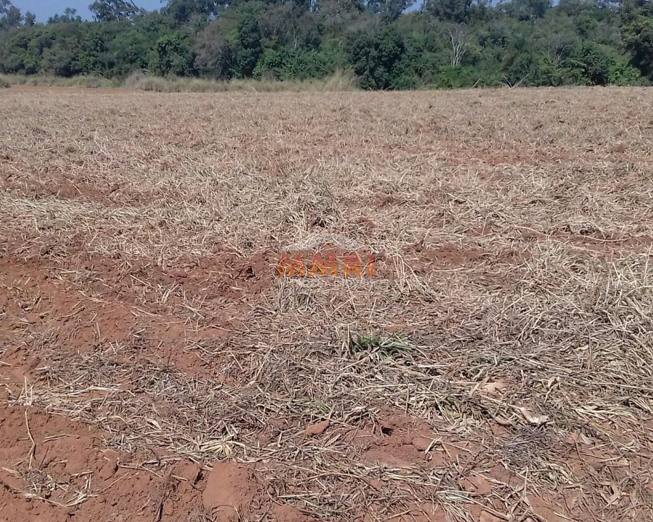 Terreno à venda, 121000m² - Foto 7