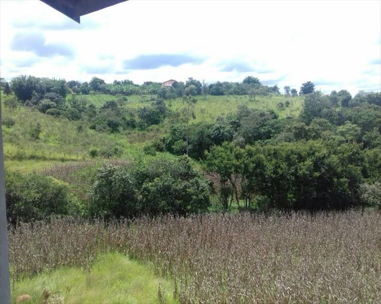Sítio, 5 quartos, 2 hectares - Foto 18