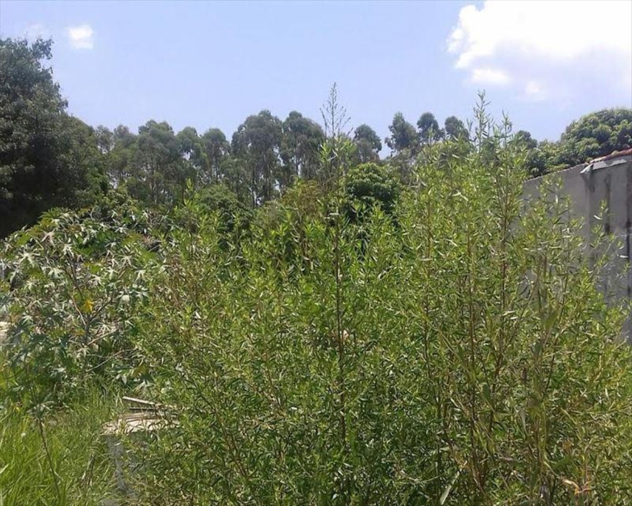 Loteamento e Condomínio, 2000 m² - Foto 8