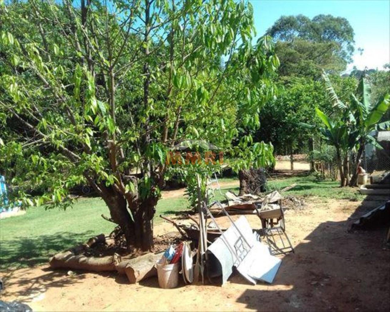 Chácara à venda com 5 quartos, 800m² - Foto 5