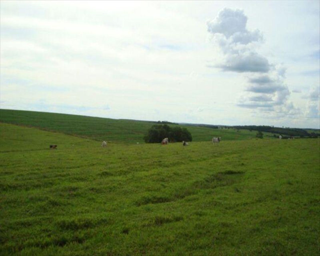 Fazenda, 530 m² - Foto 1