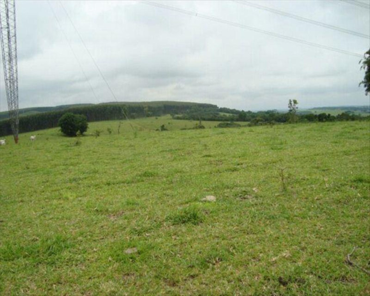 Fazenda, 530 m² - Foto 2