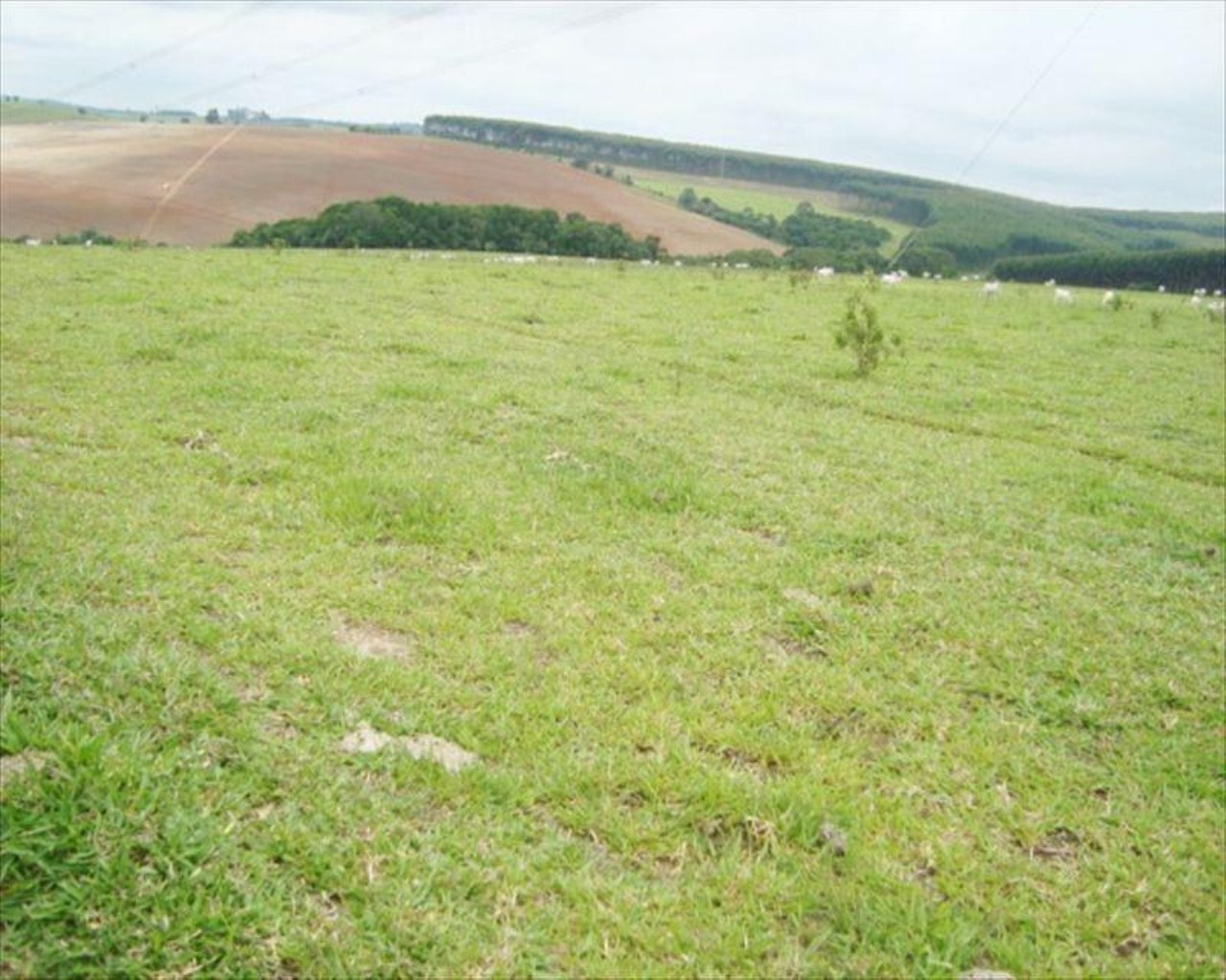 Fazenda, 530 m² - Foto 4