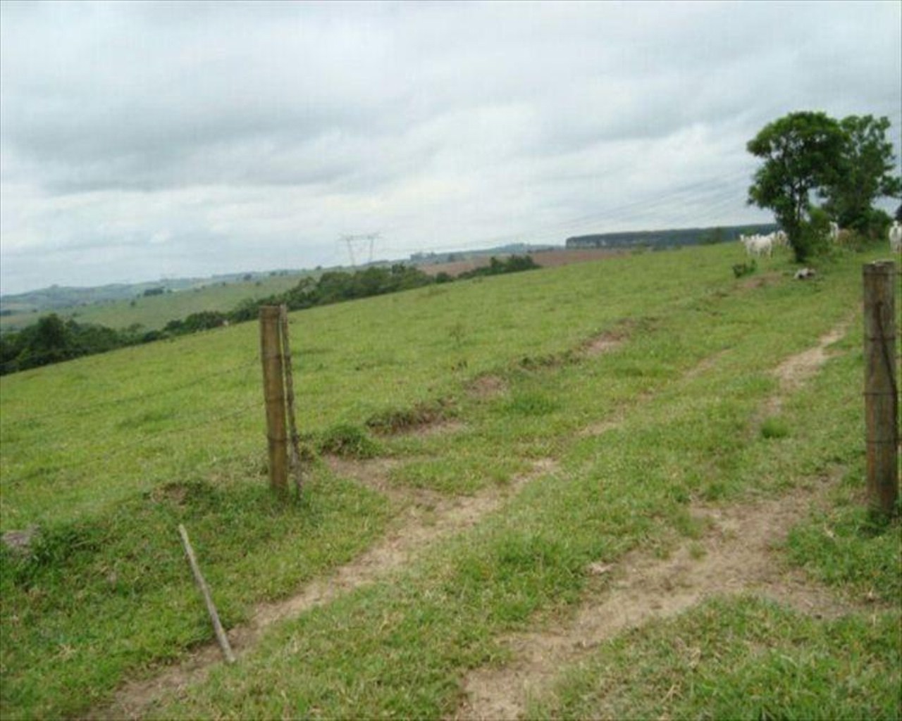Fazenda, 530 m² - Foto 5