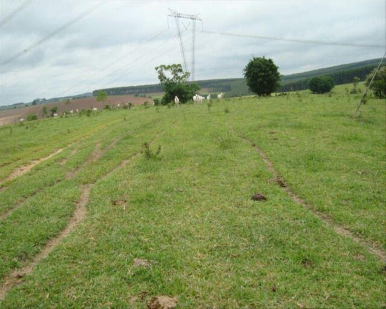 Fazenda, 530 m² - Foto 6