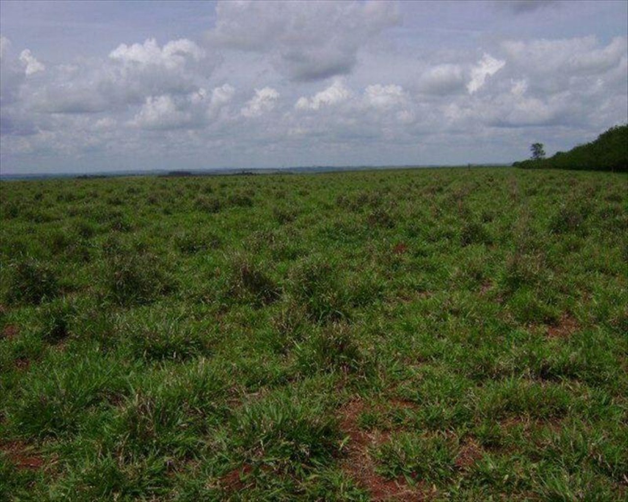 Fazenda, 530 m² - Foto 12