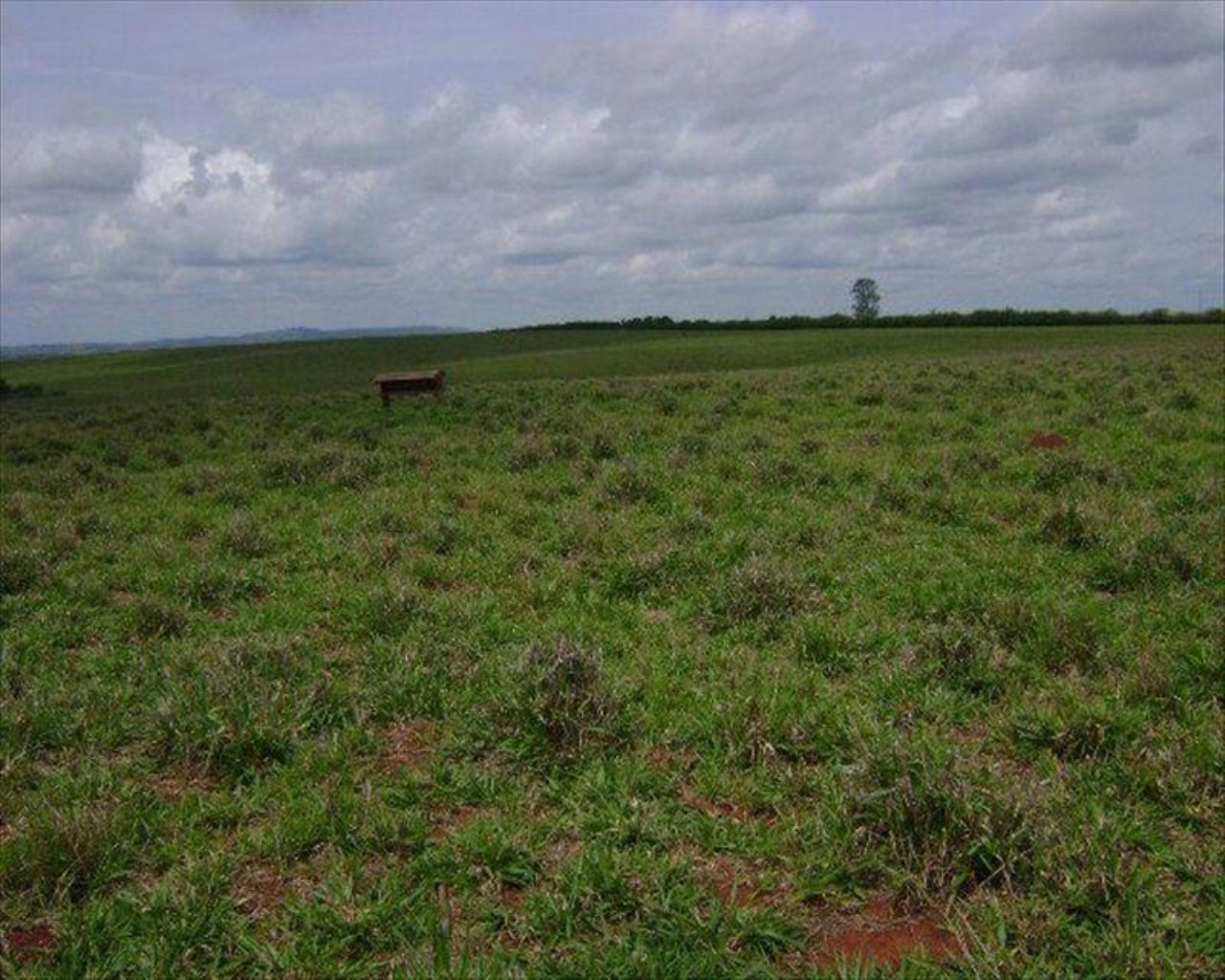 Fazenda, 530 m² - Foto 13