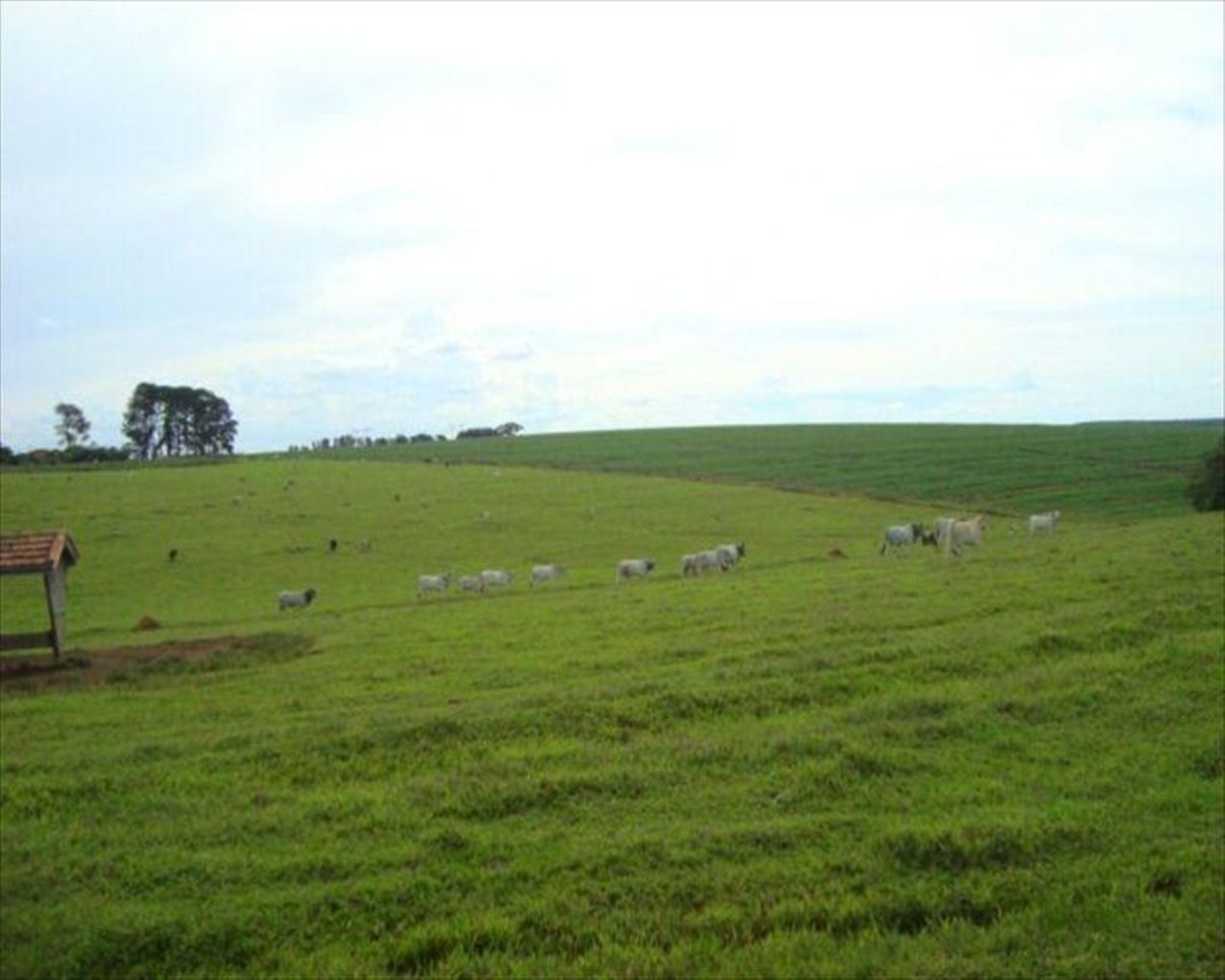 Fazenda, 530 m² - Foto 15