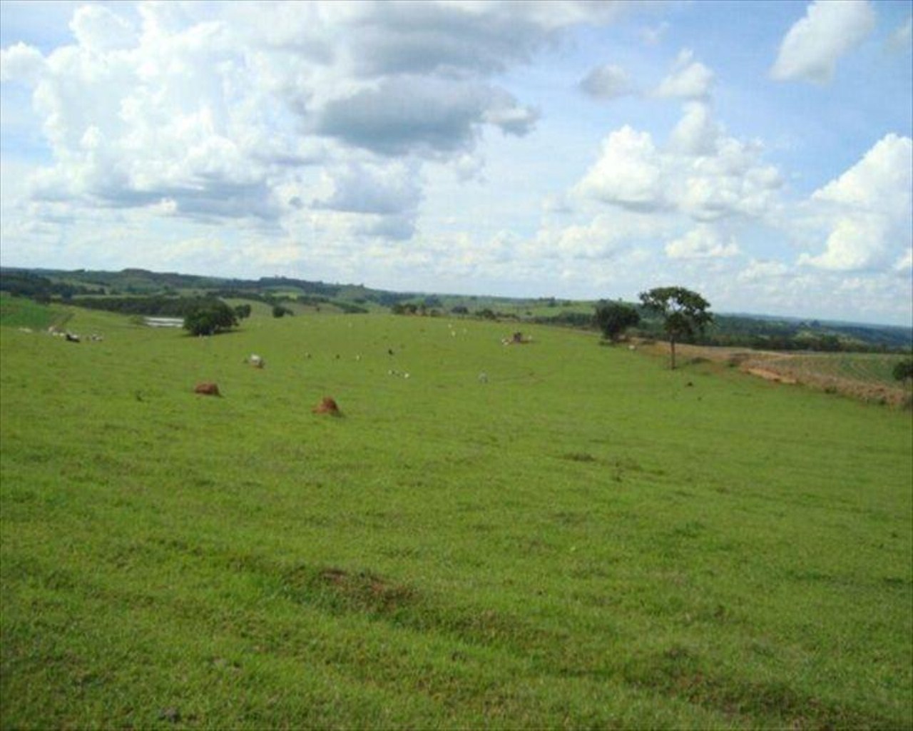 Fazenda, 530 m² - Foto 17