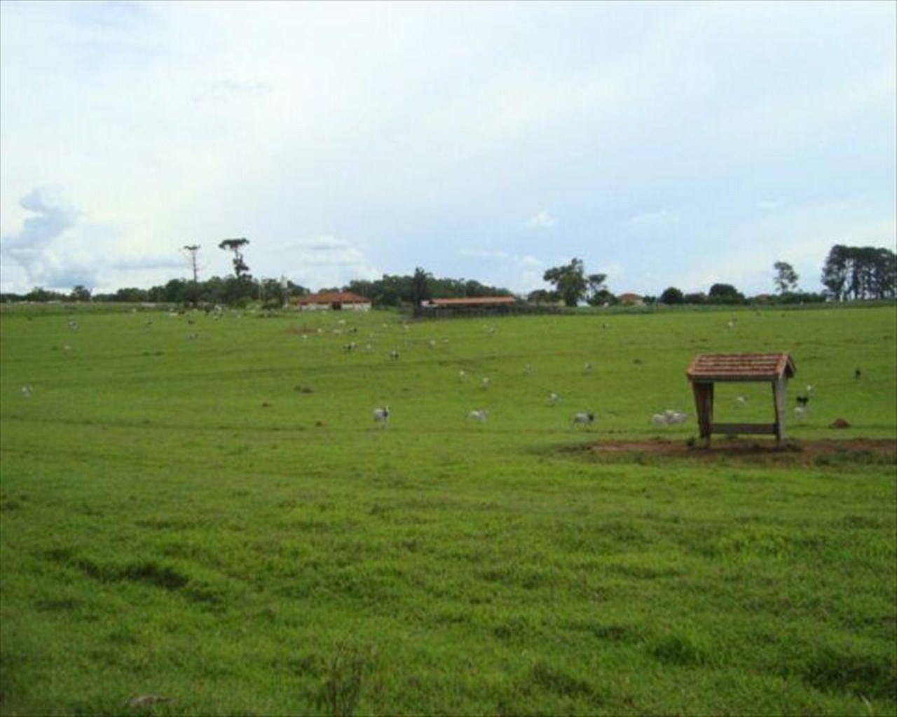 Fazenda, 530 m² - Foto 19