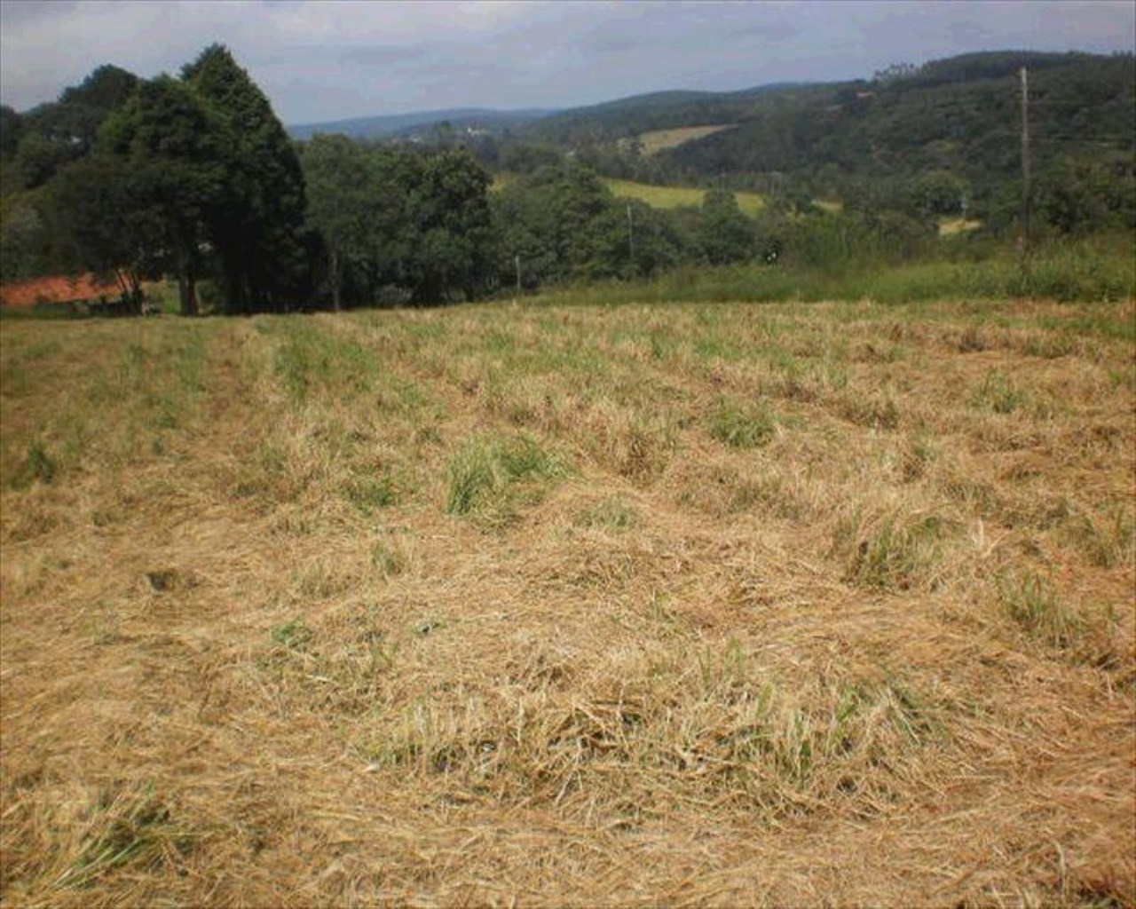 Sítio à venda com 1 quarto, 5m² - Foto 20