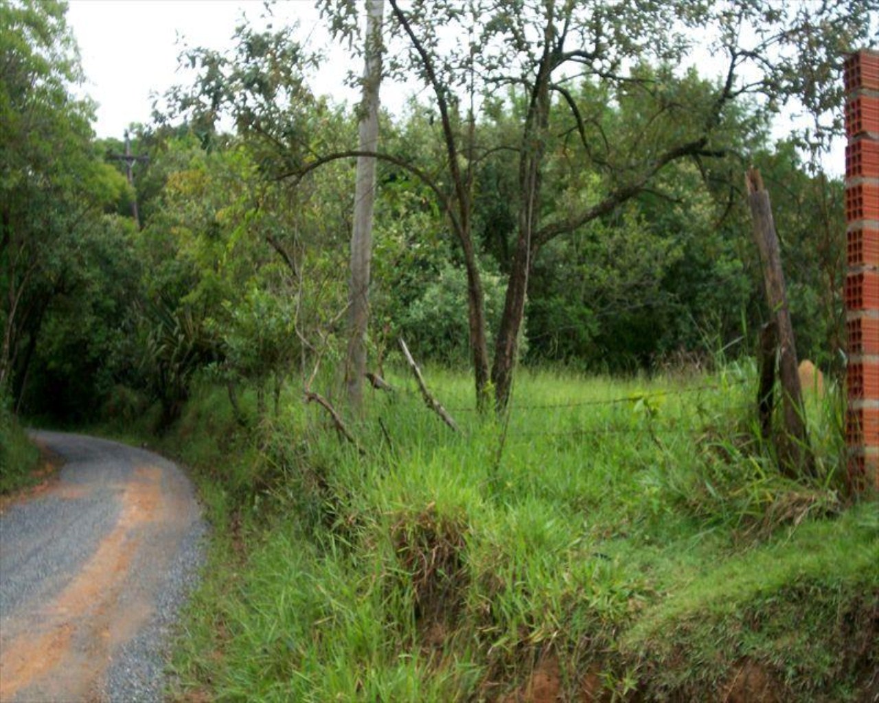 Terreno à venda, 11000m² - Foto 3