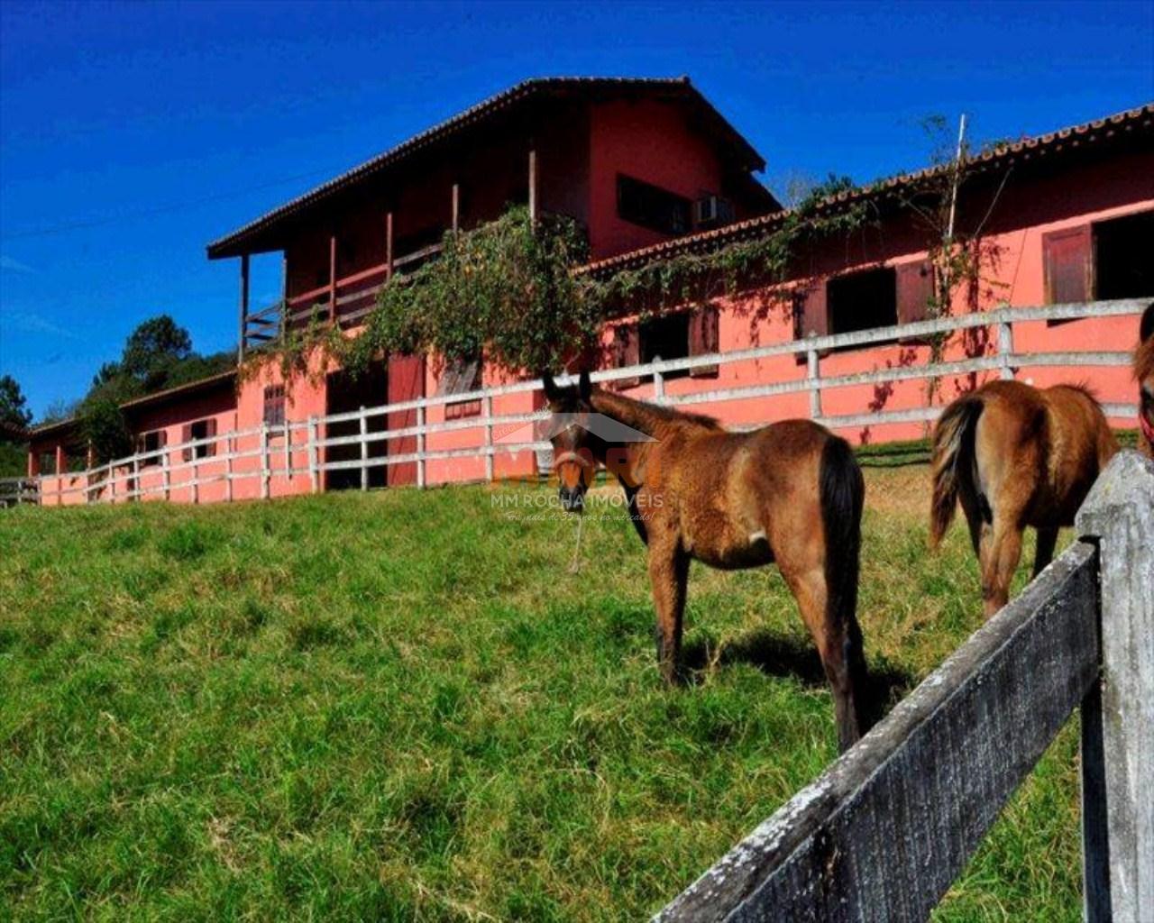 Fazenda à venda com 3 quartos, 6m² - Foto 8