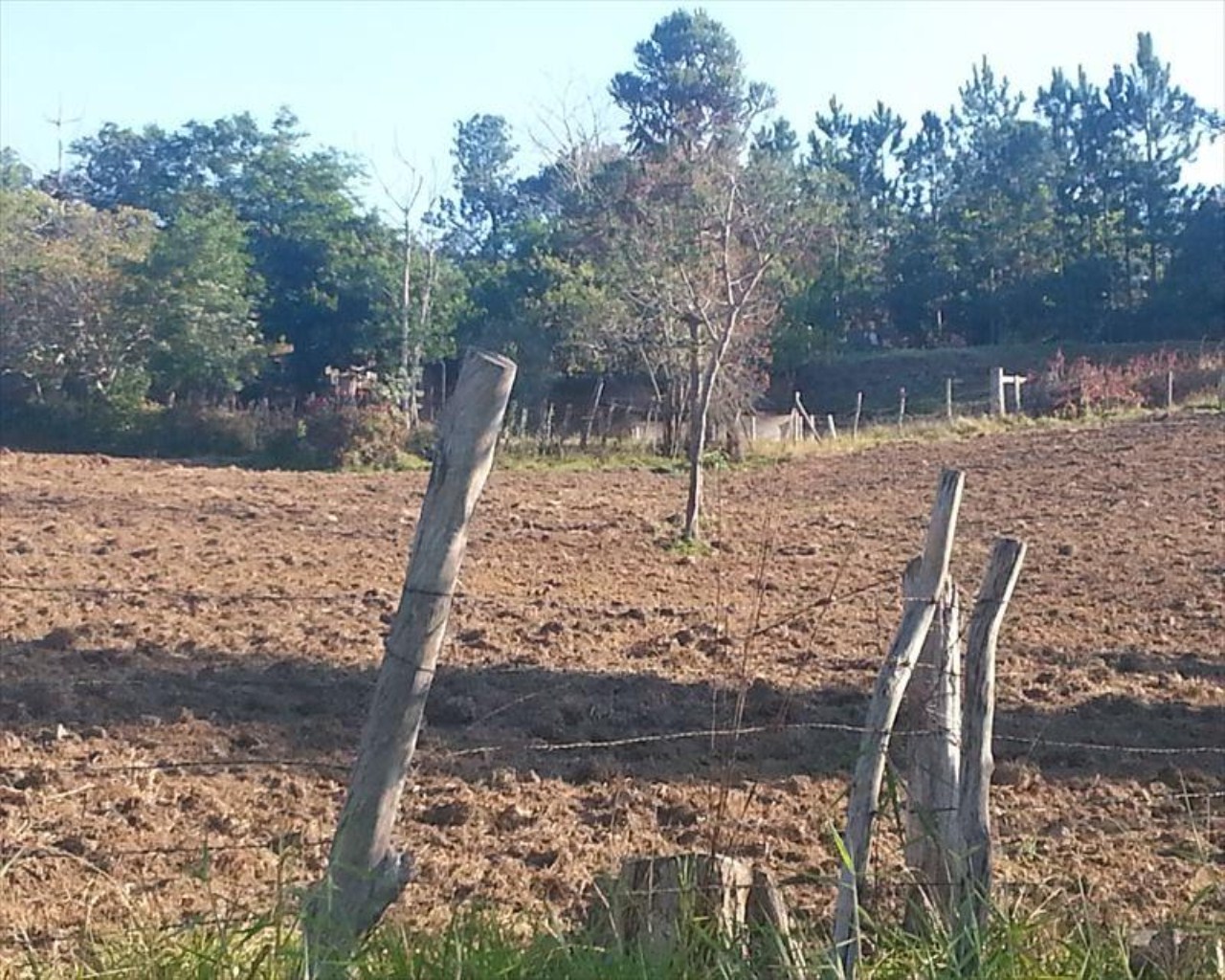 Chácara à venda com 4 quartos, 31000m² - Foto 31