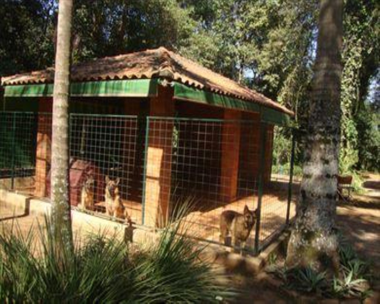 Chácara, 3 quartos, 4000 m² - Foto 38