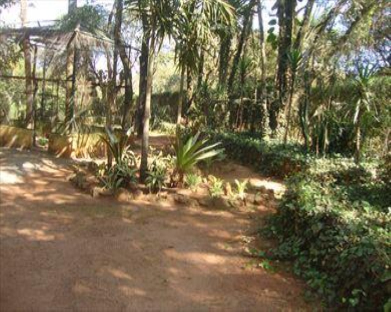 Chácara, 3 quartos, 4000 m² - Foto 39