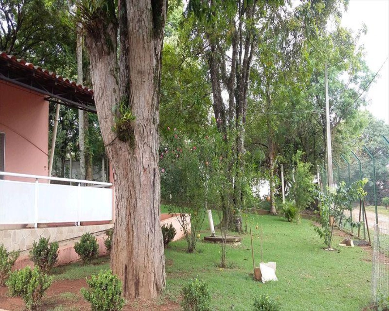 Chácara à venda com 5 quartos, 4800m² - Foto 4