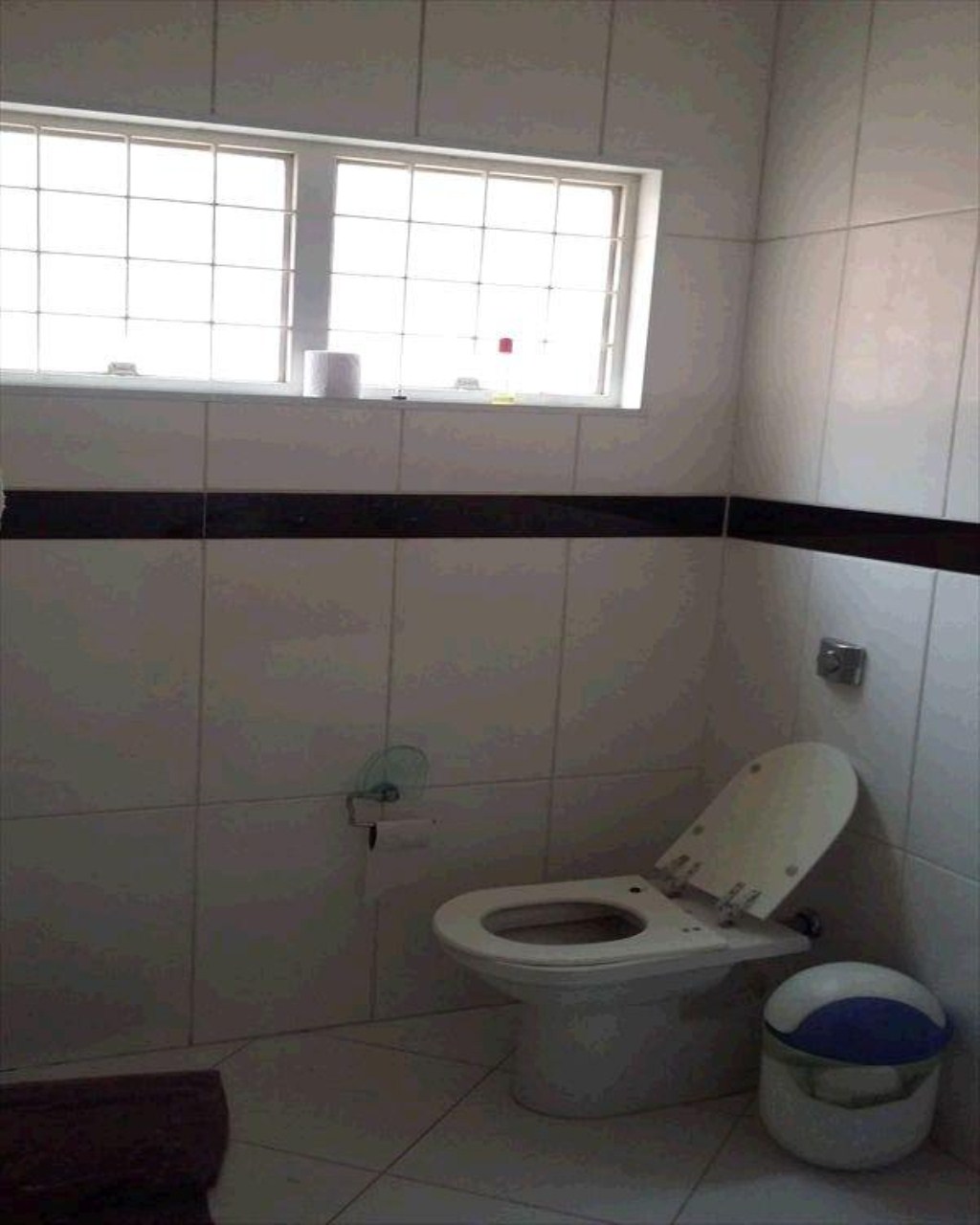 Chácara à venda com 5 quartos, 4800m² - Foto 47