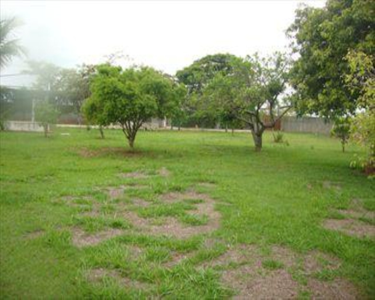 Chácara, 6 quartos, 6000 m² - Foto 7