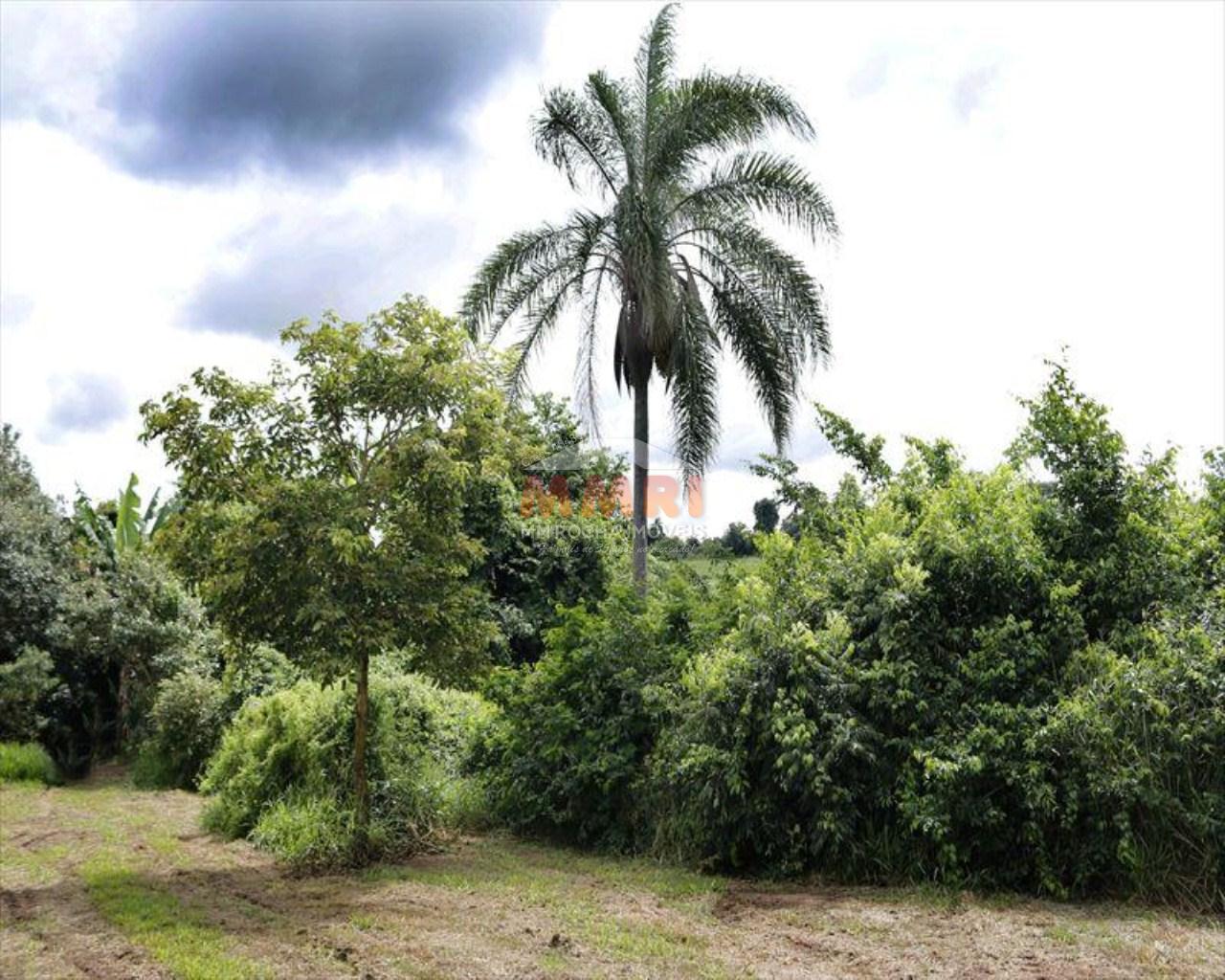 Terreno, 1150 m² - Foto 8