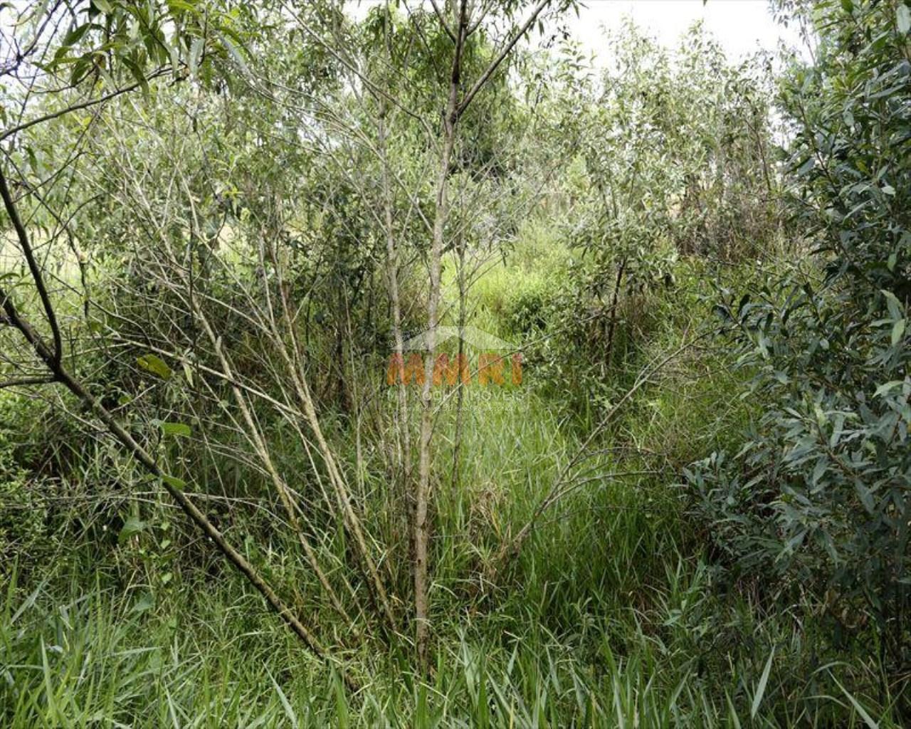 Terreno, 1150 m² - Foto 10