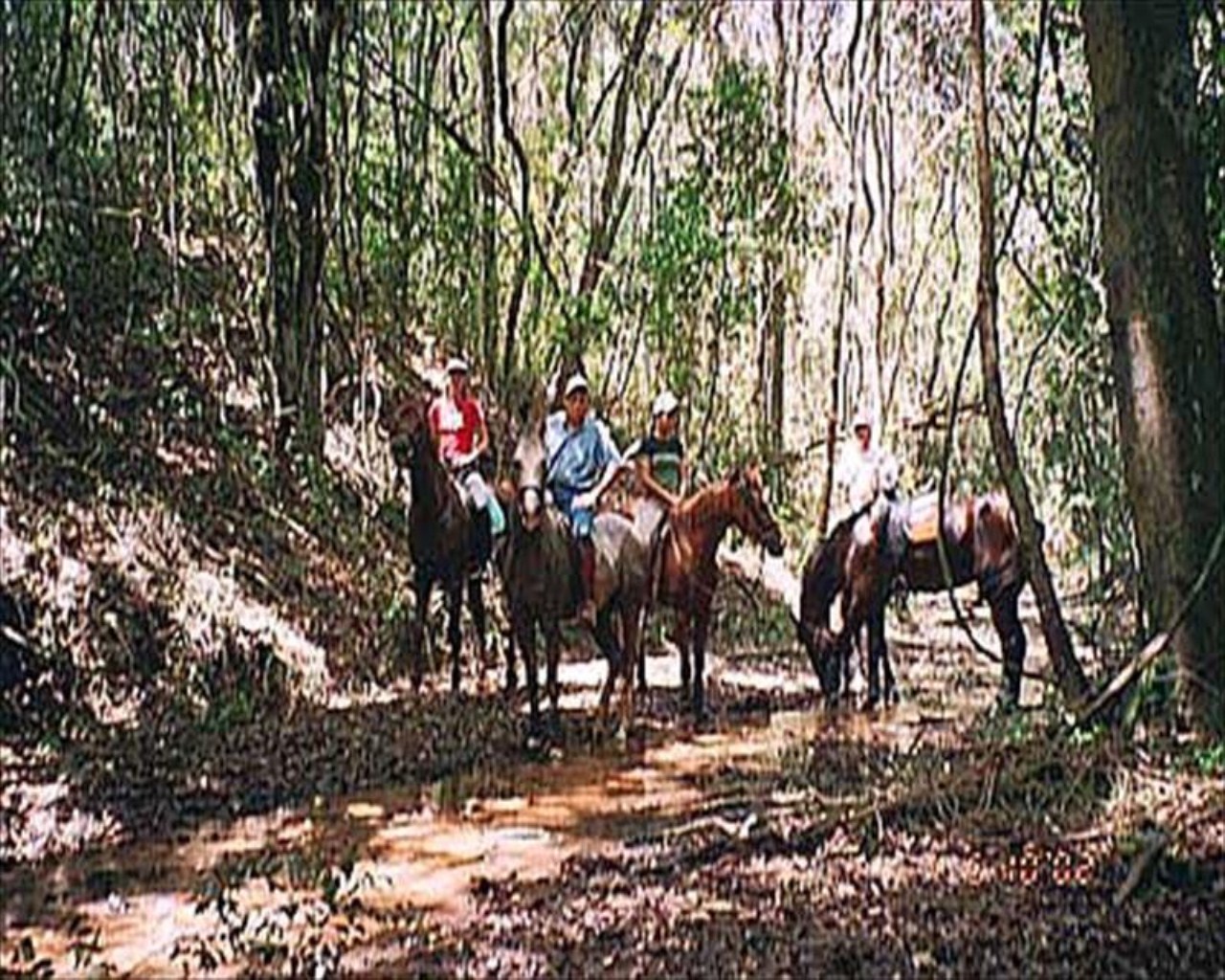 Fazenda à venda com 3 quartos, 72000m² - Foto 6