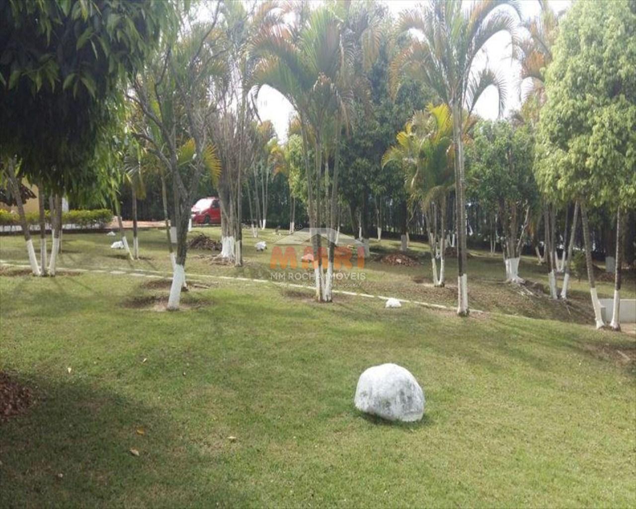 Sítio, 3 quartos, 2 hectares - Foto 7