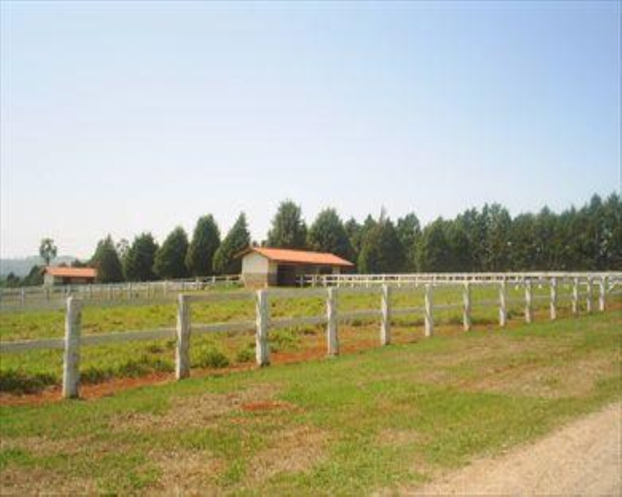 Fazenda à venda com 10 quartos, 36m² - Foto 3