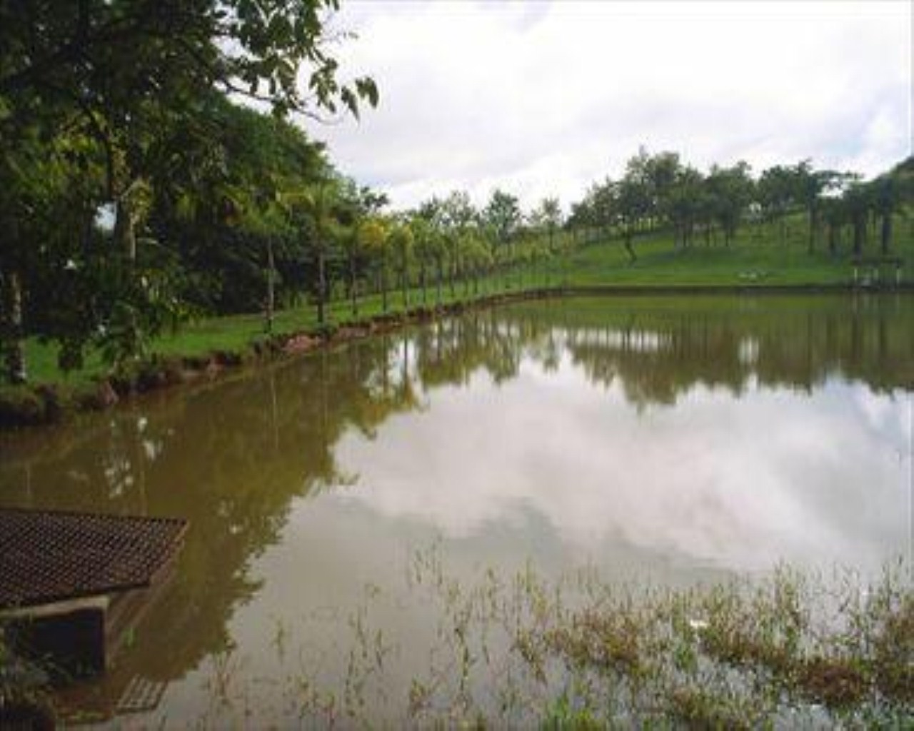 Fazenda à venda com 10 quartos, 36m² - Foto 34