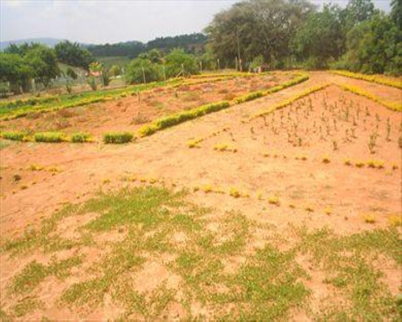 Fazenda à venda com 4 quartos, 8m² - Foto 14