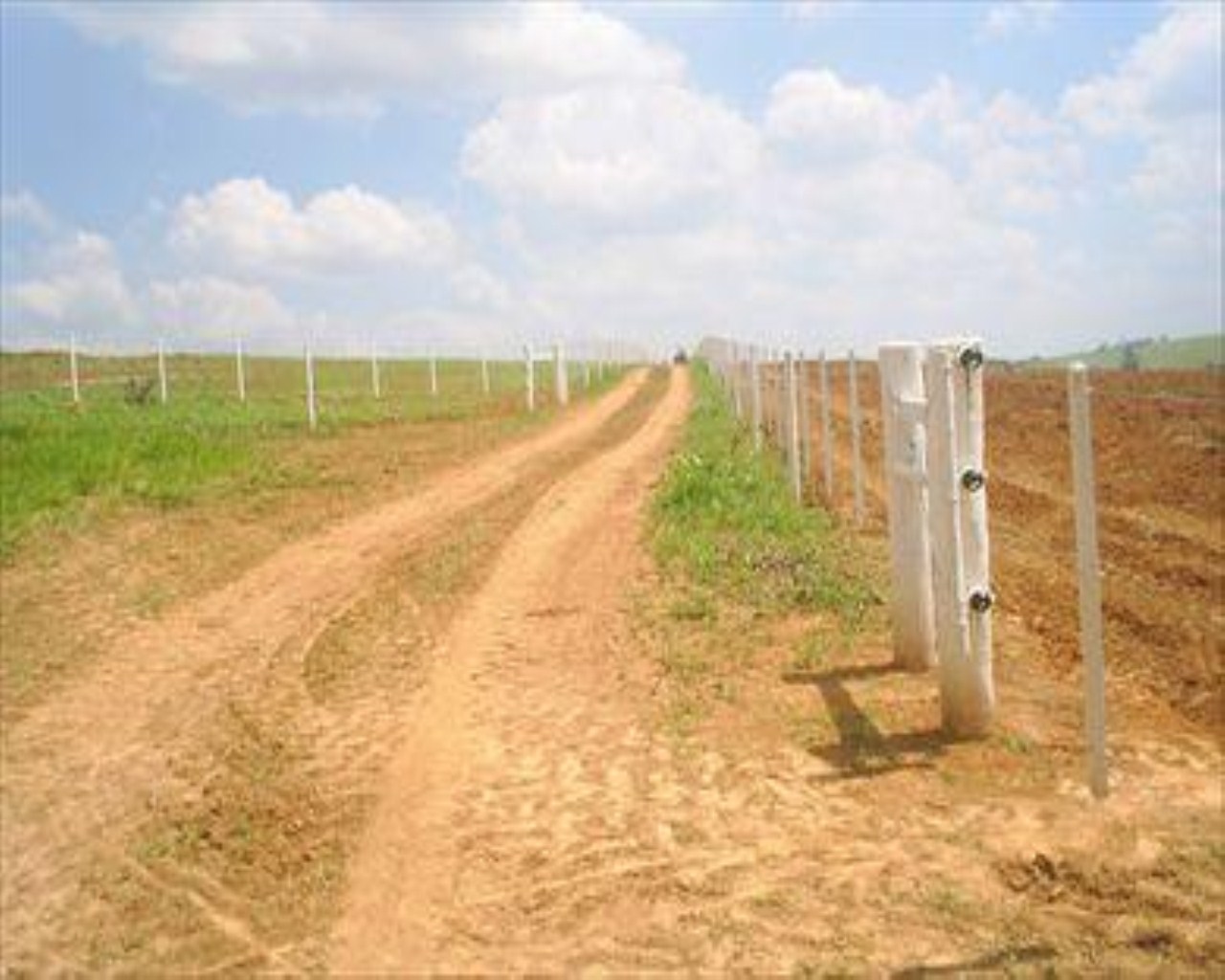 Fazenda à venda com 4 quartos, 8m² - Foto 27