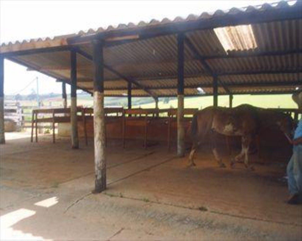 Fazenda à venda com 4 quartos, 8m² - Foto 28