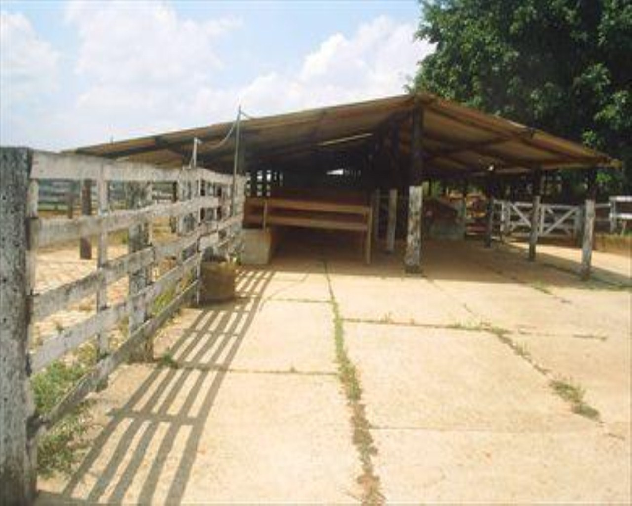 Fazenda à venda com 4 quartos, 8m² - Foto 29