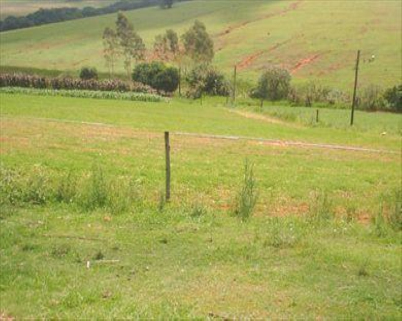 Fazenda à venda com 4 quartos, 8m² - Foto 31