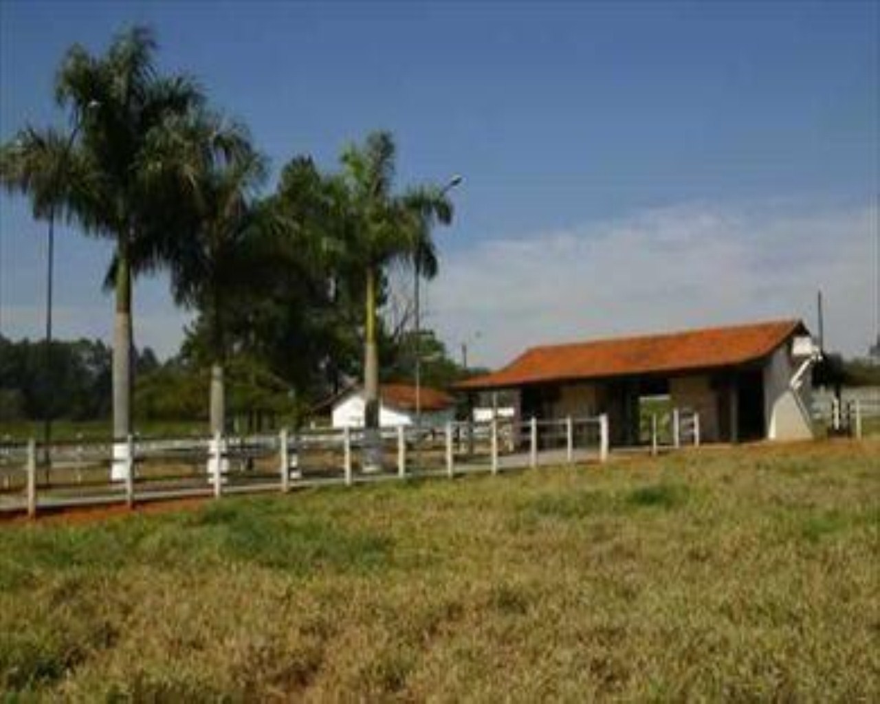 Fazenda à venda com 5 quartos, 45m² - Foto 19