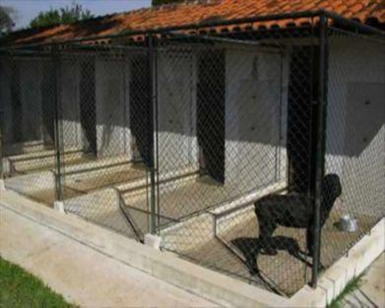 Fazenda à venda com 5 quartos, 45m² - Foto 33