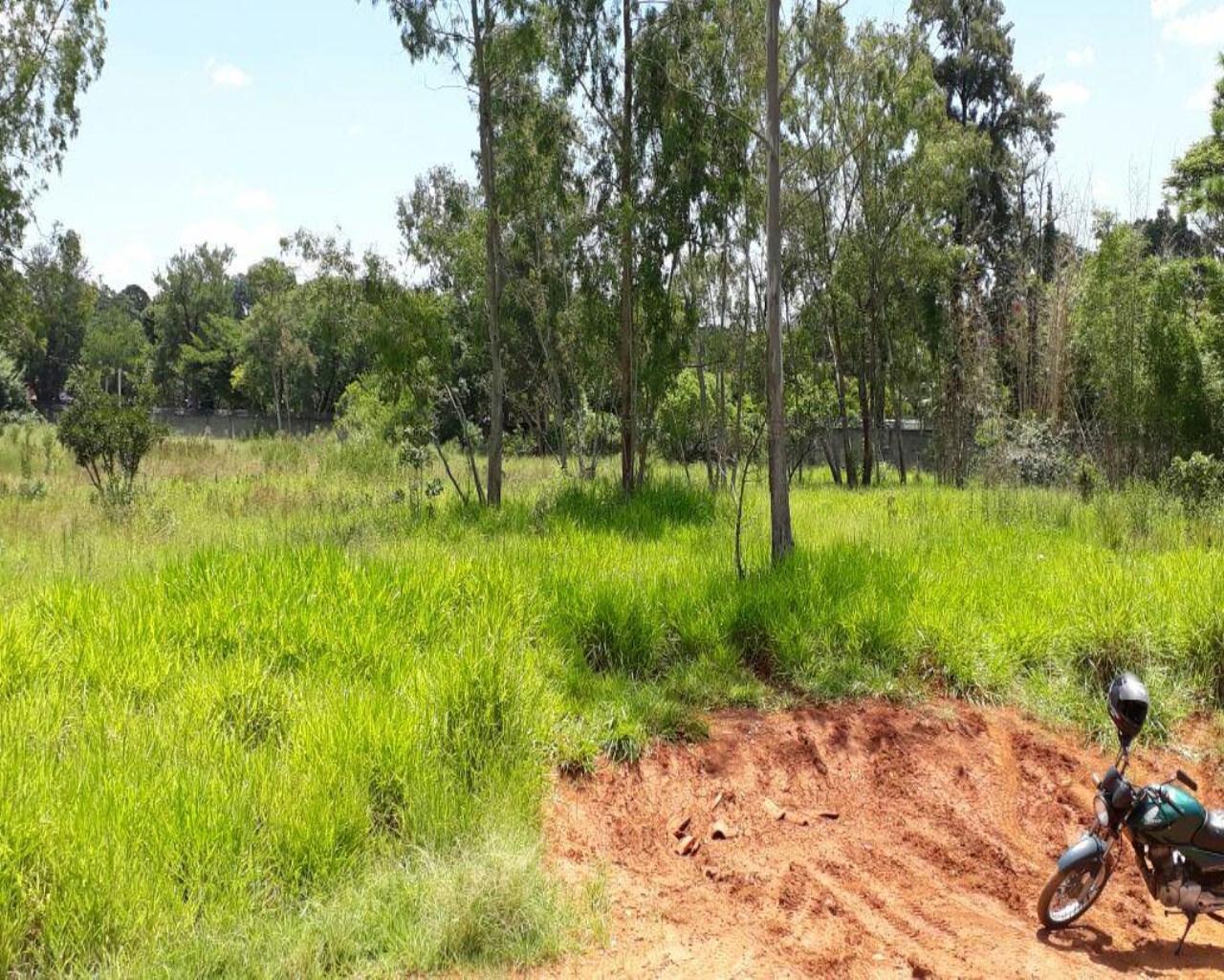 Terreno à venda, 11500m² - Foto 5