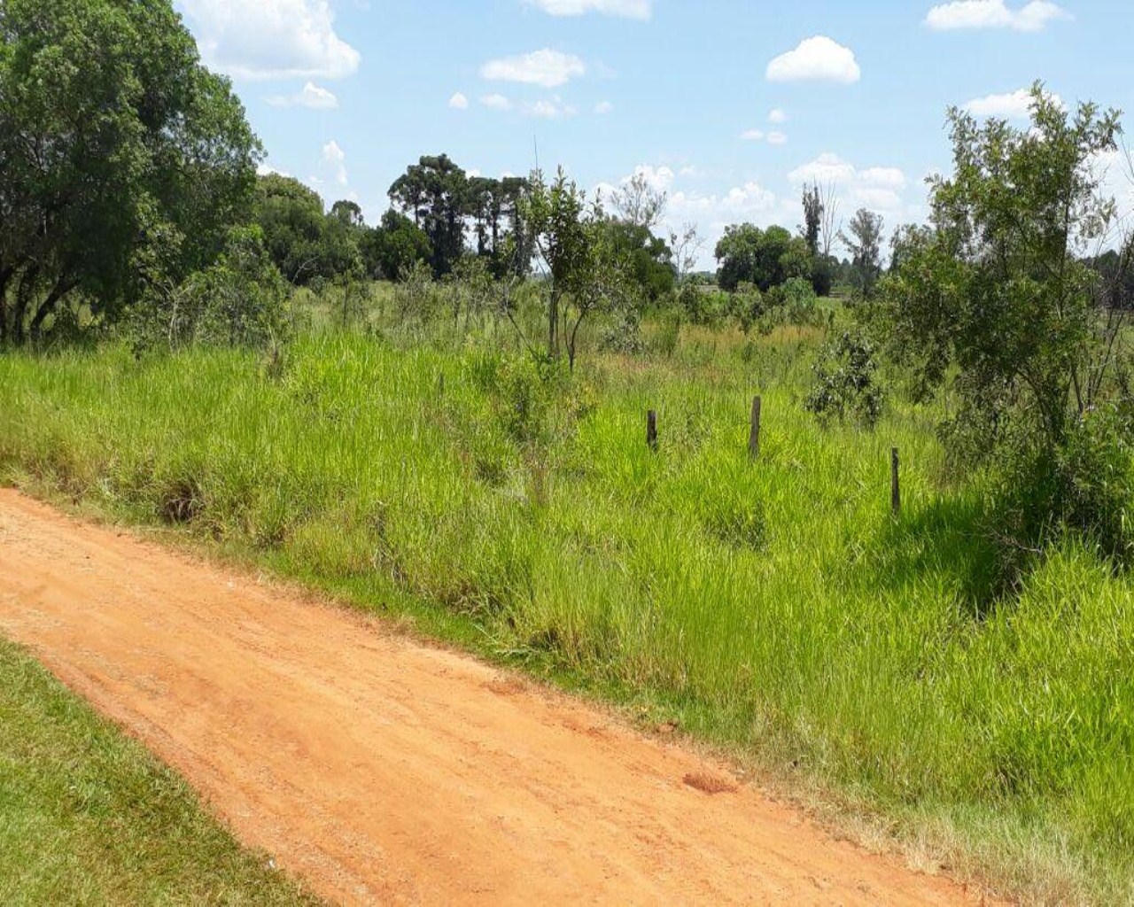 Terreno à venda, 11500m² - Foto 6