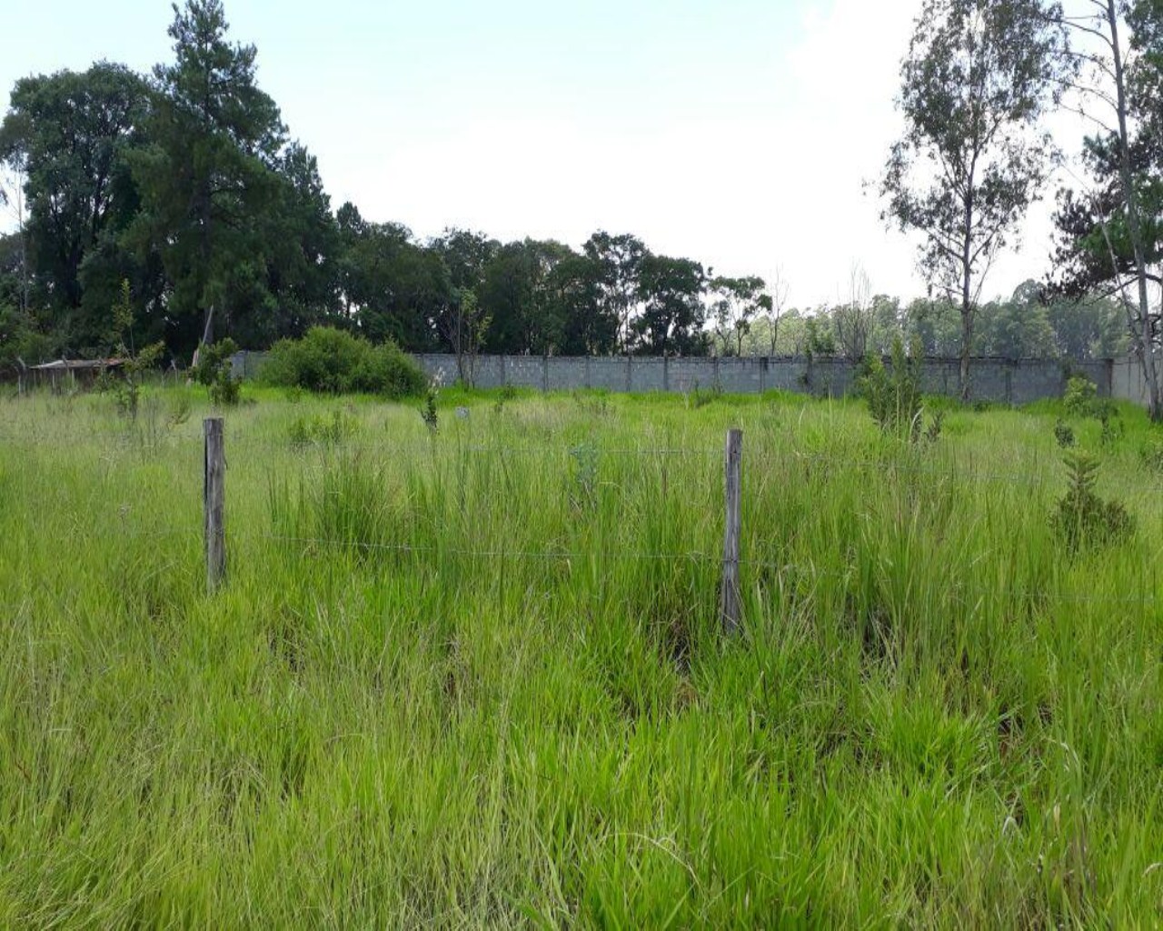 Terreno à venda, 2000m² - Foto 3