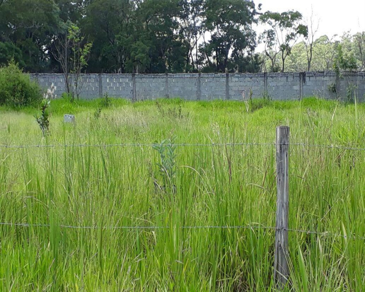 Terreno à venda, 2000m² - Foto 4