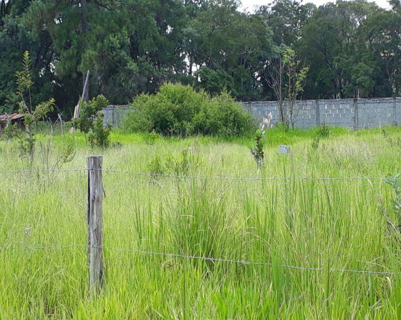 Terreno à venda, 2000m² - Foto 5