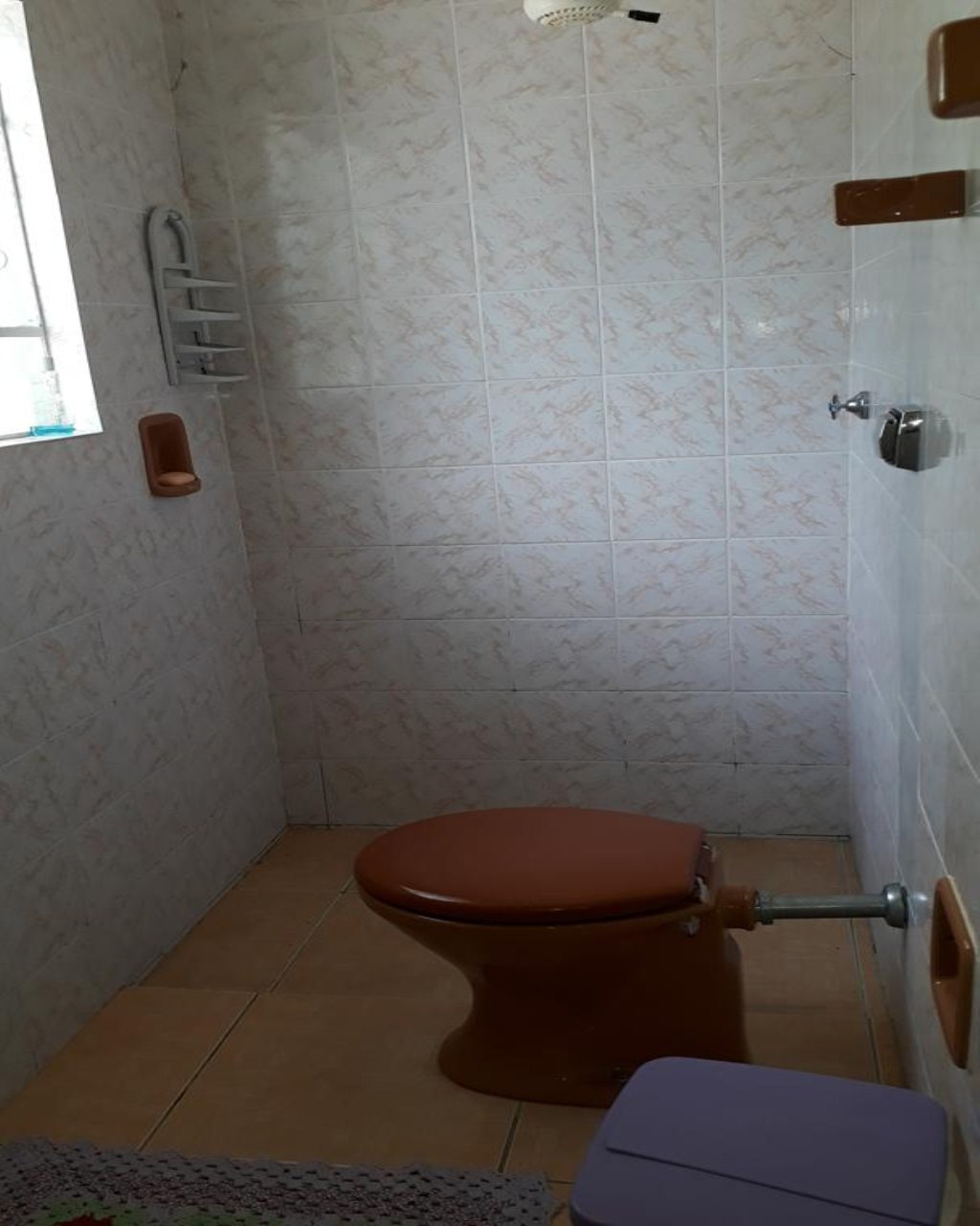 Chácara à venda com 4 quartos, 3800m² - Foto 8