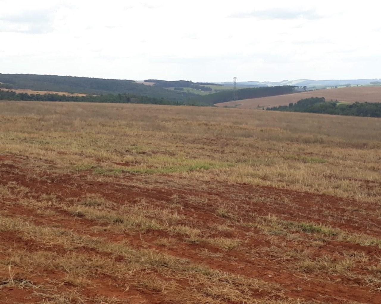 Fazenda à venda com 1 quarto, 626m² - Foto 3