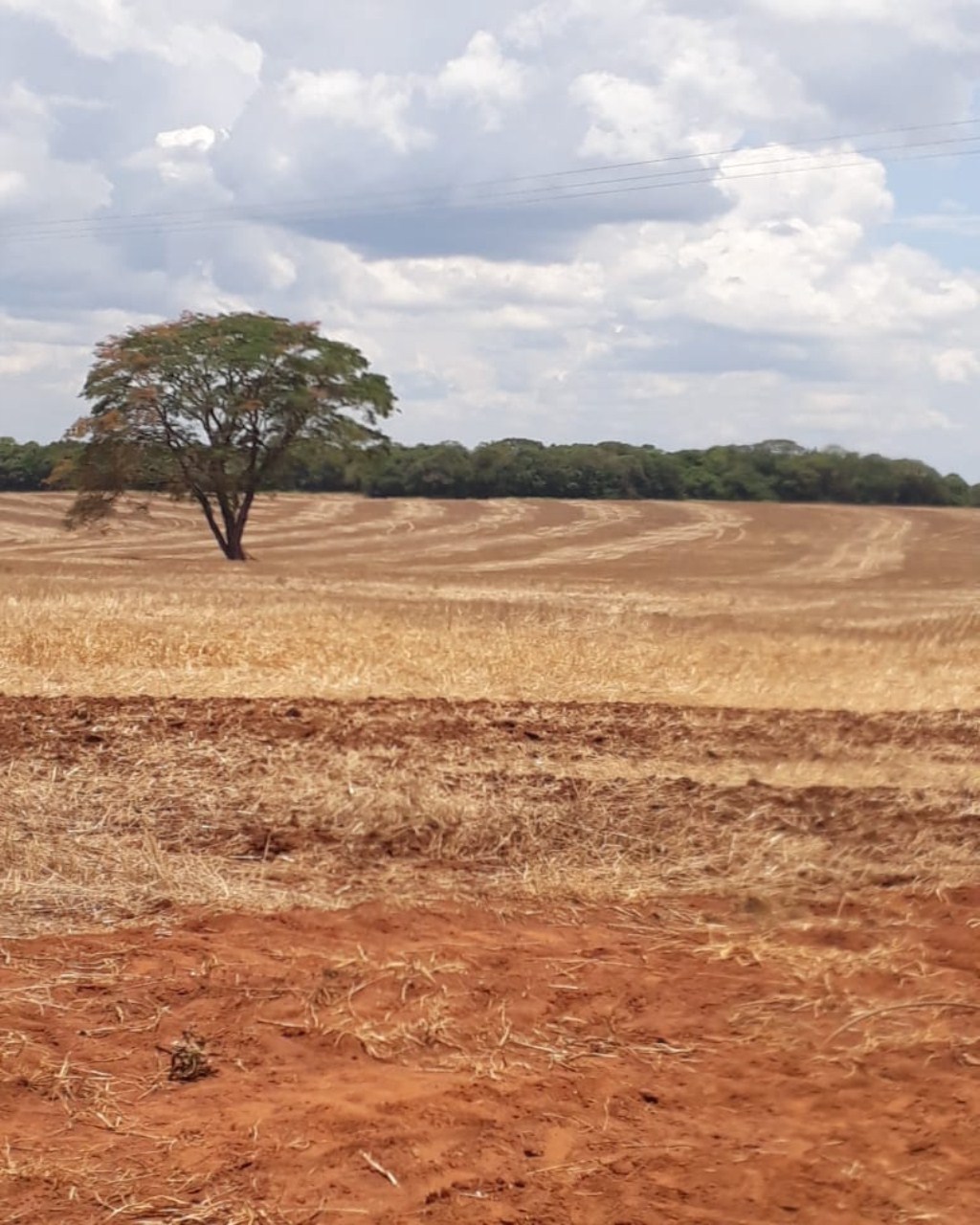 Fazenda à venda com 1 quarto, 626m² - Foto 8