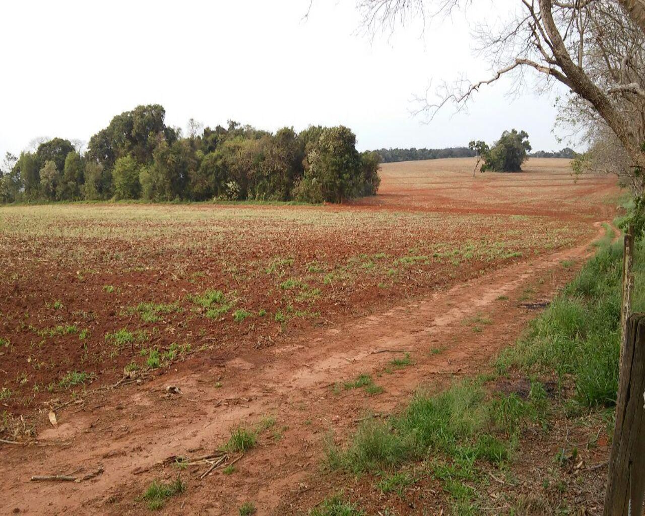 Fazenda à venda com 1 quarto, 626m² - Foto 21